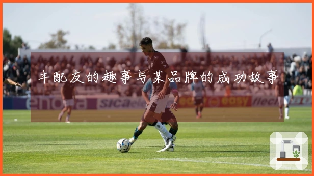 丰配友的趣事与某品牌的成功故事